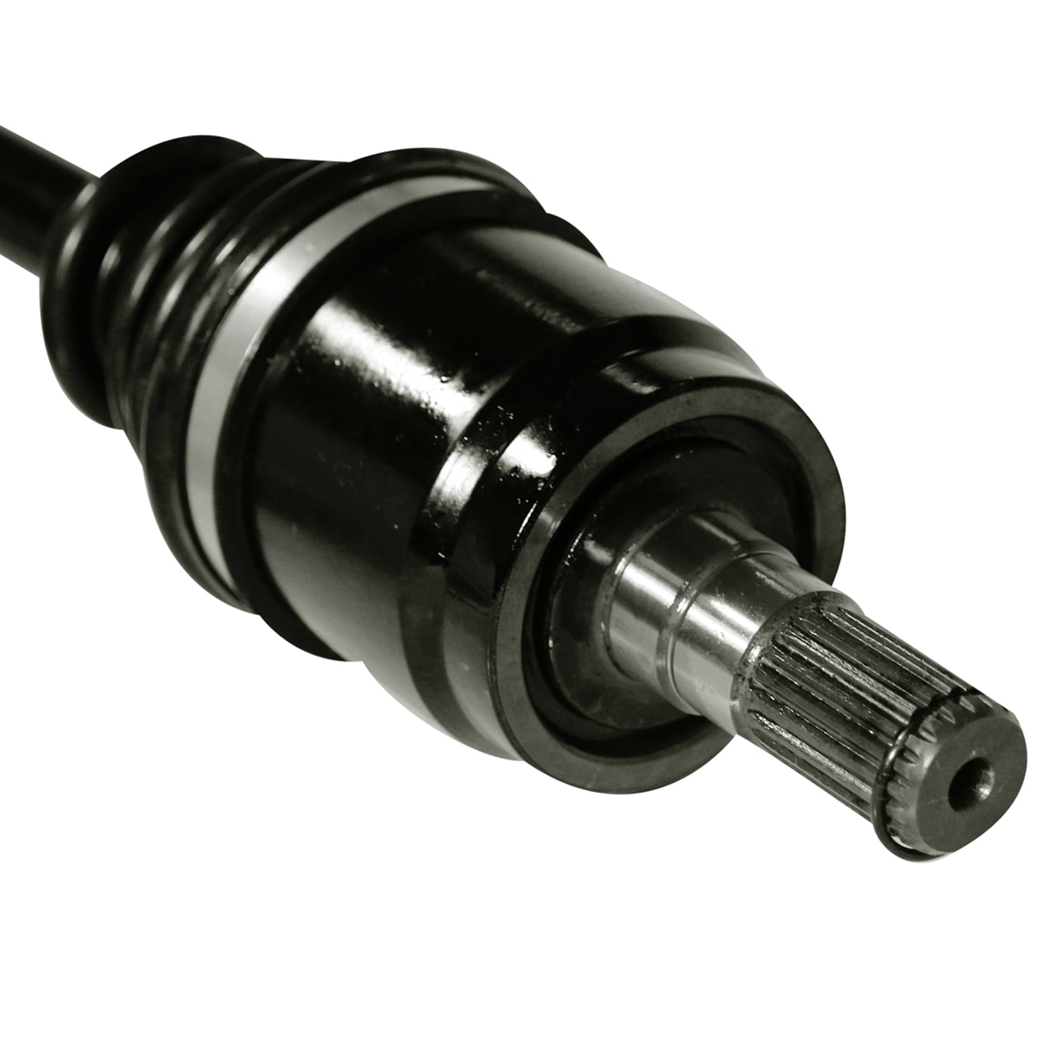 4157002_2.jpg