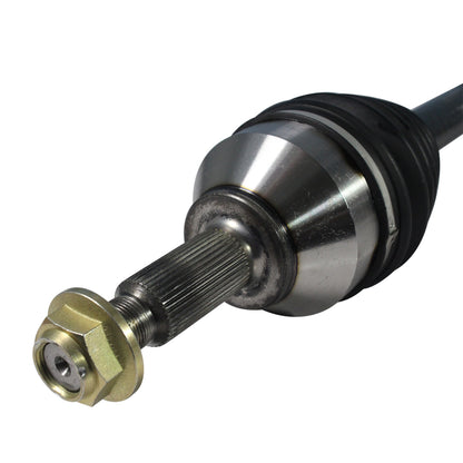 NCV11179_3.jpg