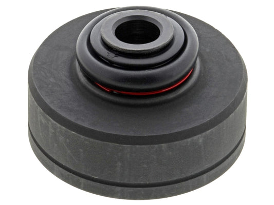 NS21203_1.jpg