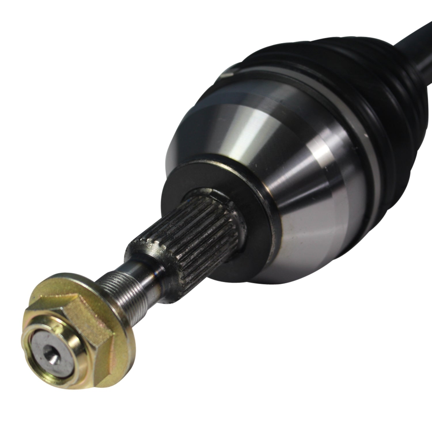 NCV11019_3.jpg