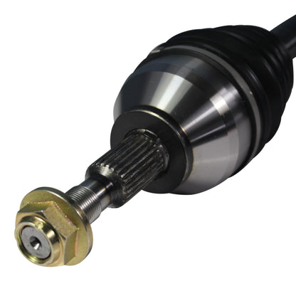 NCV11019_3.jpg