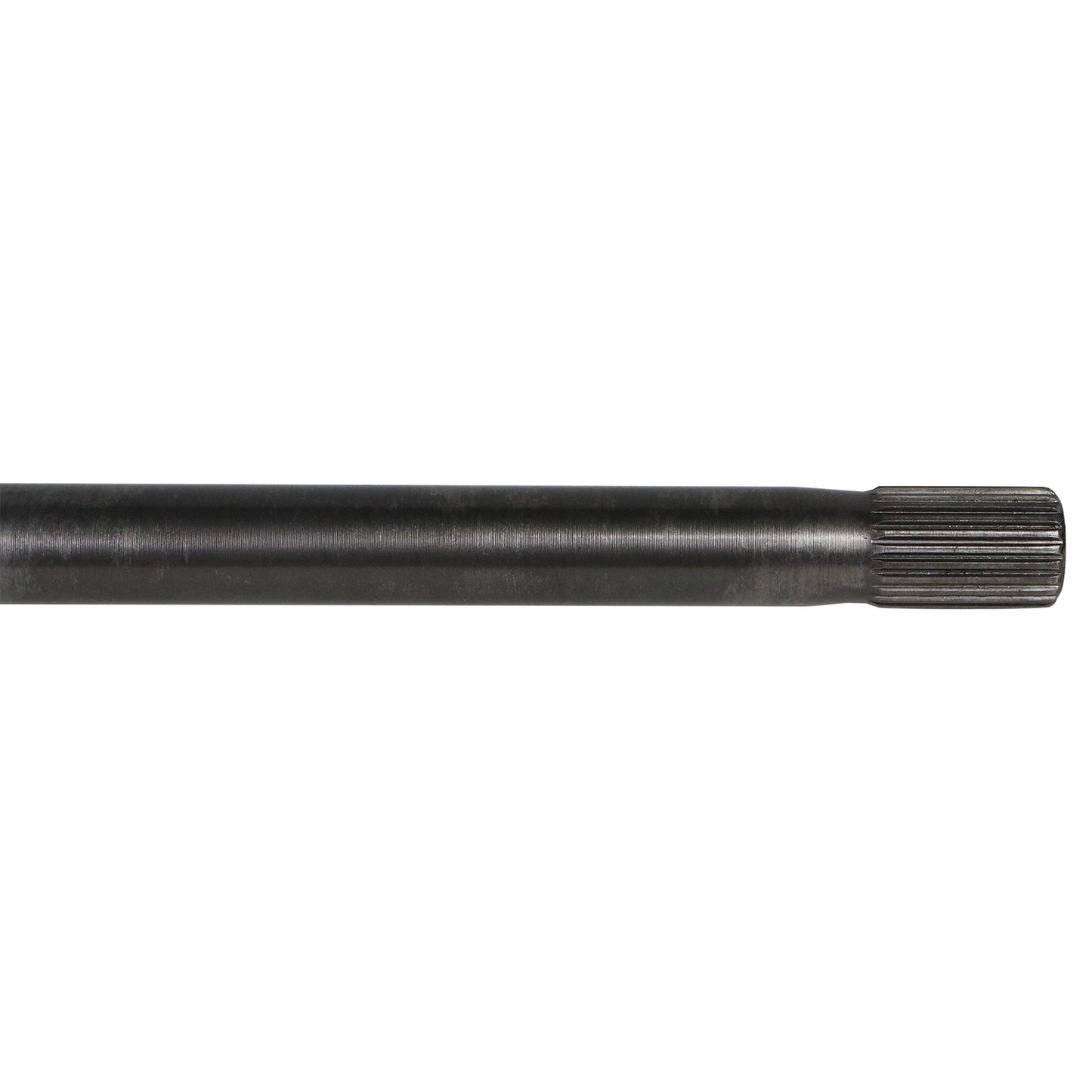 NCV83037_2.jpg