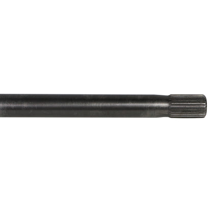 NCV83037_2.jpg