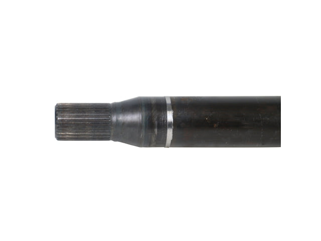 NEX48003_3.jpg