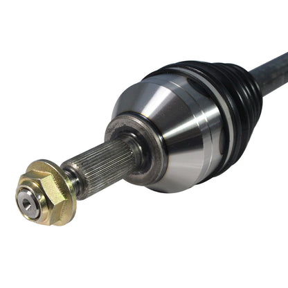 NCV11196_3.jpg
