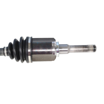 NCV11516_2.jpg