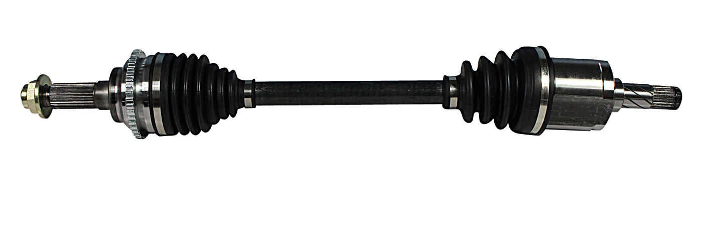NCV47538.jpg