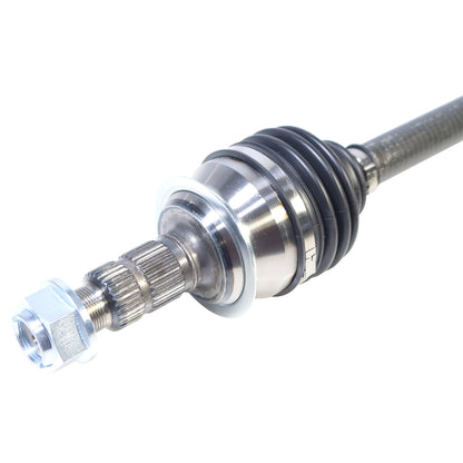 NCV16009_3.jpg