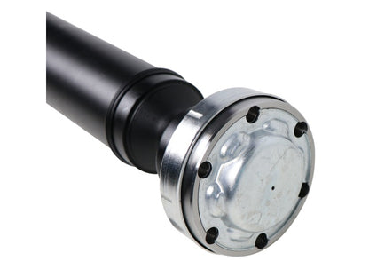 PS900109_1.jpg