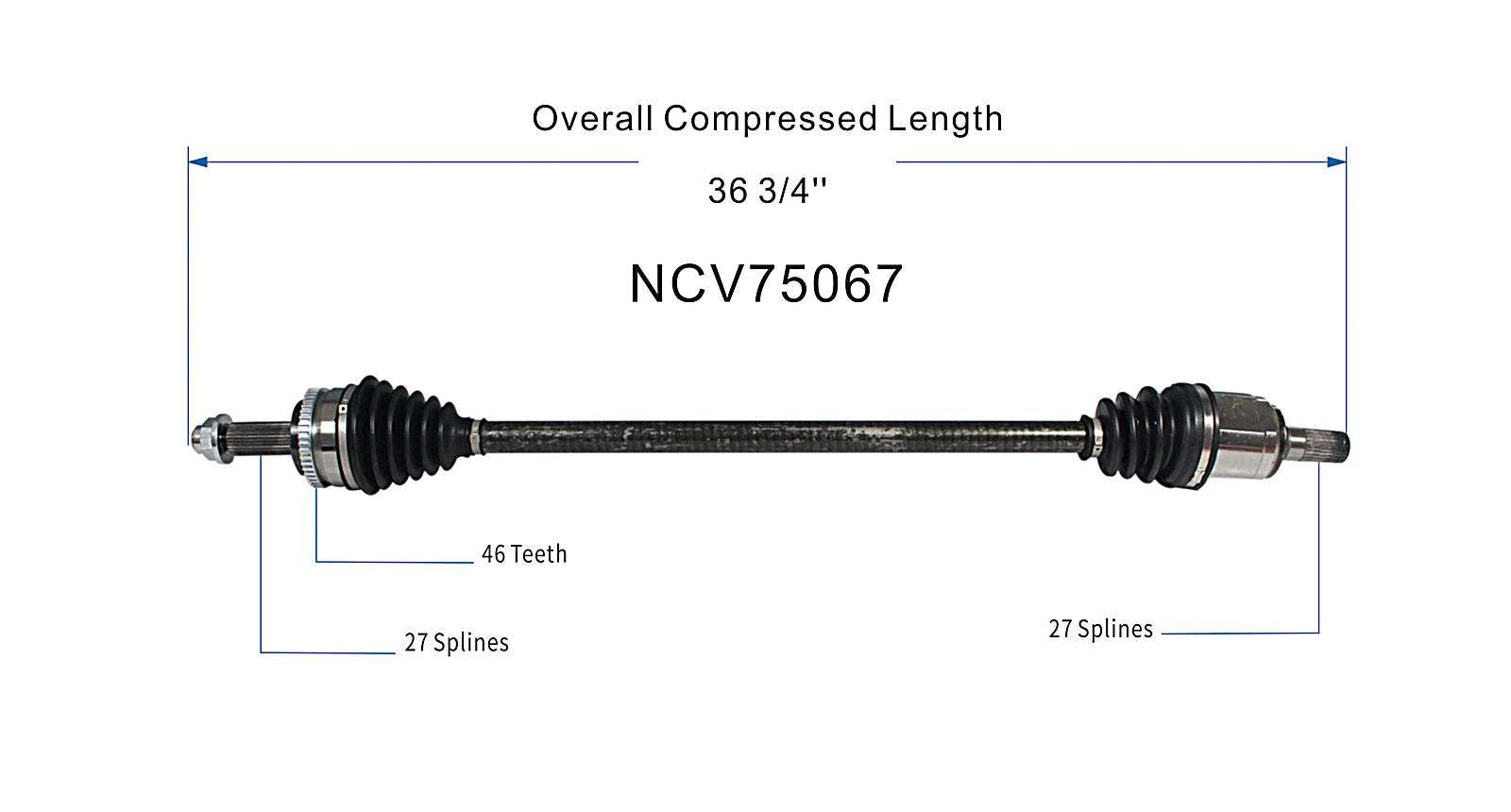 NCV75067_SPE.jpg