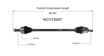 NCV75067_SPE.jpg