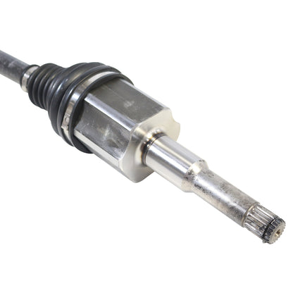 NCV11249_4.jpg