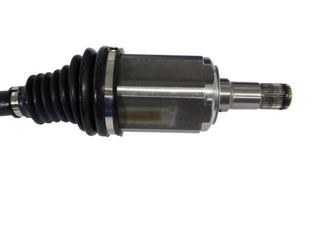 NCV17028_2.jpg