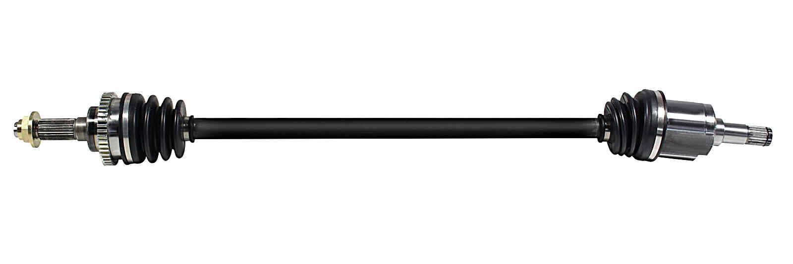 NCV47543.jpg