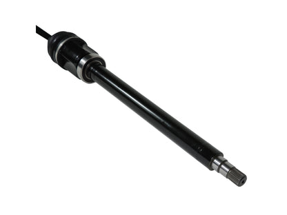 PR73550_4.jpg