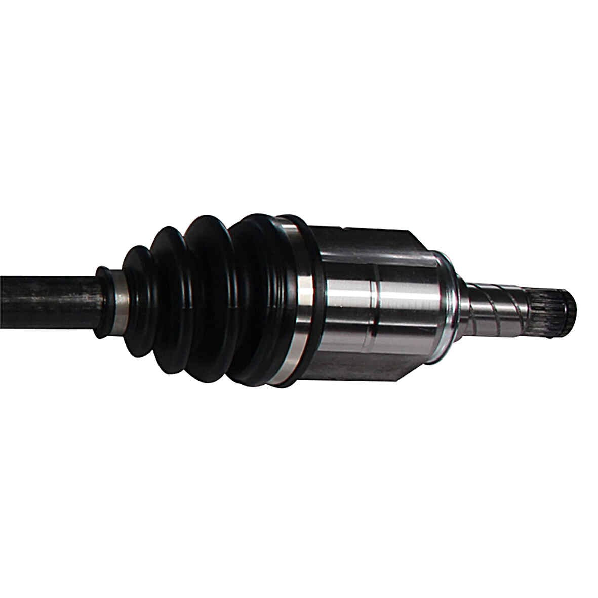 NCV10099-2.jpg