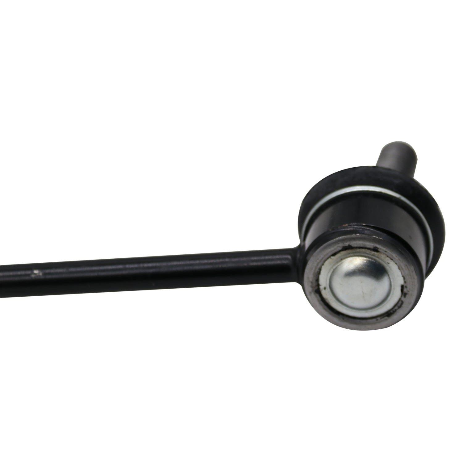 NS50290_2.jpg