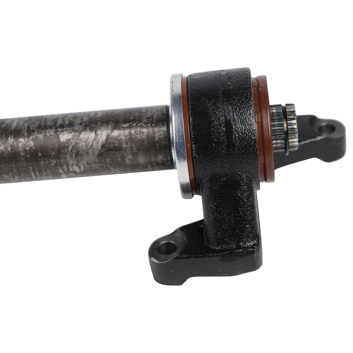 NEX12012_2.jpg