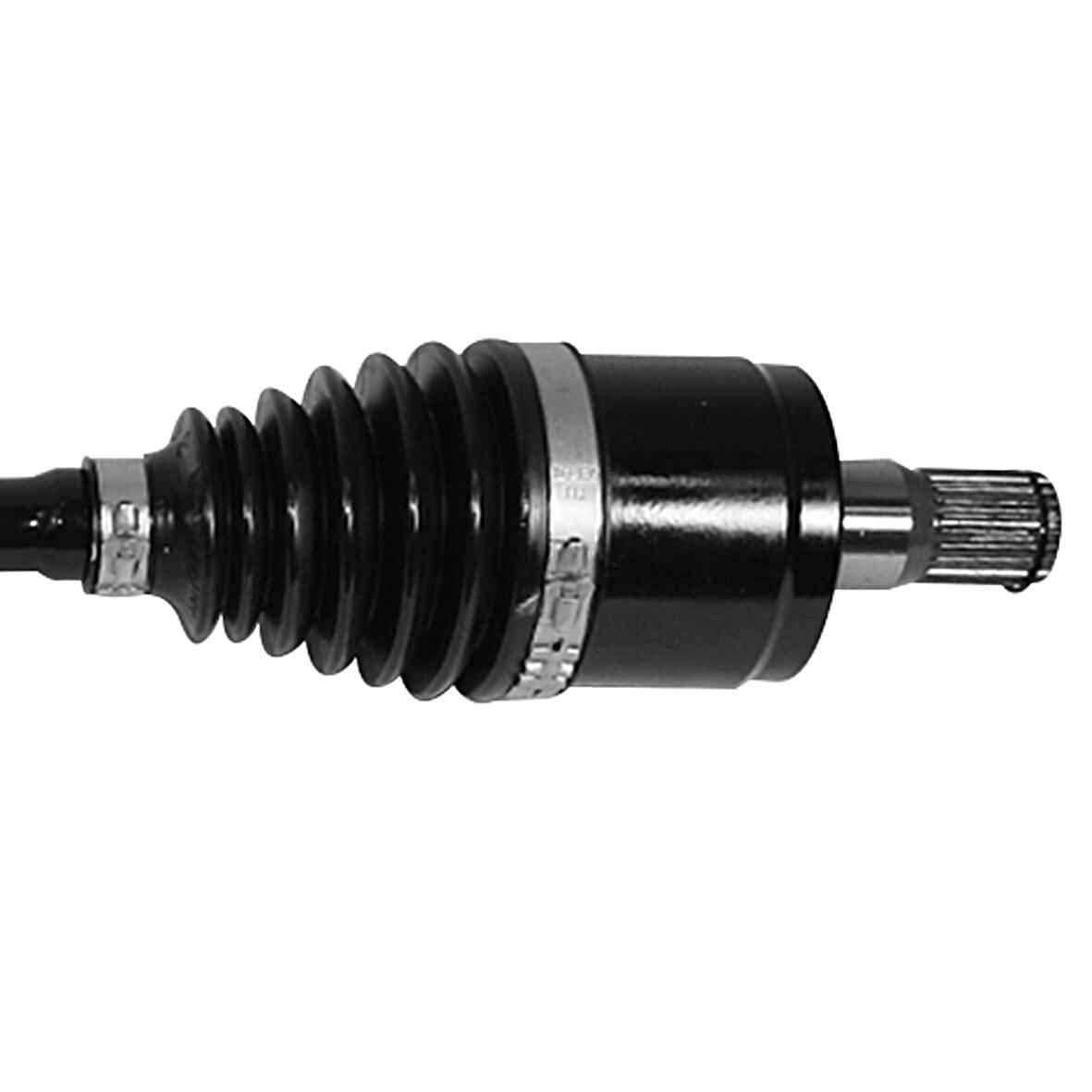4105008-3.jpg