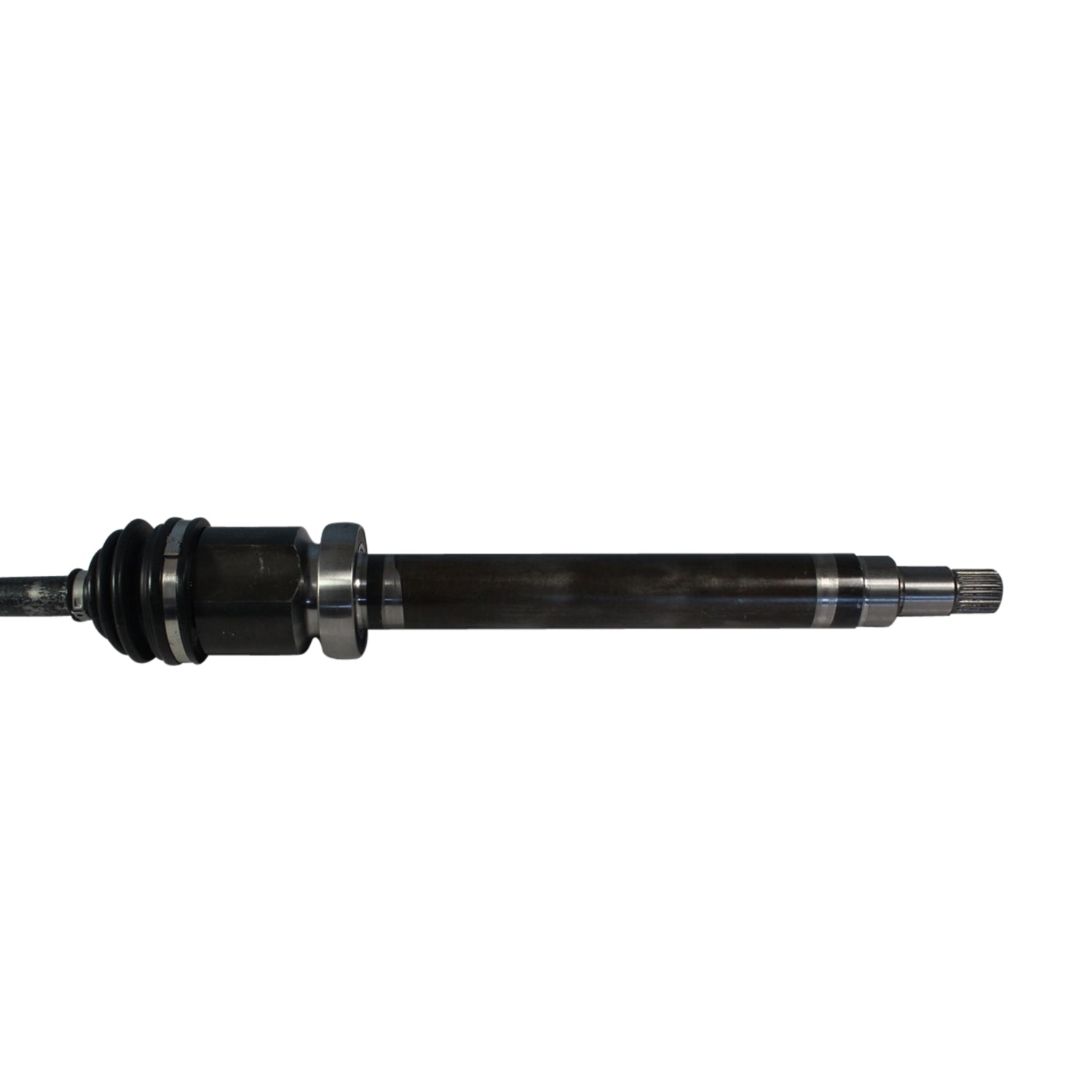 NCV11173_2.jpg