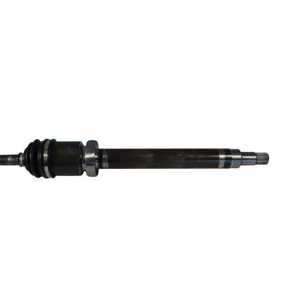 NCV11173_2.jpg