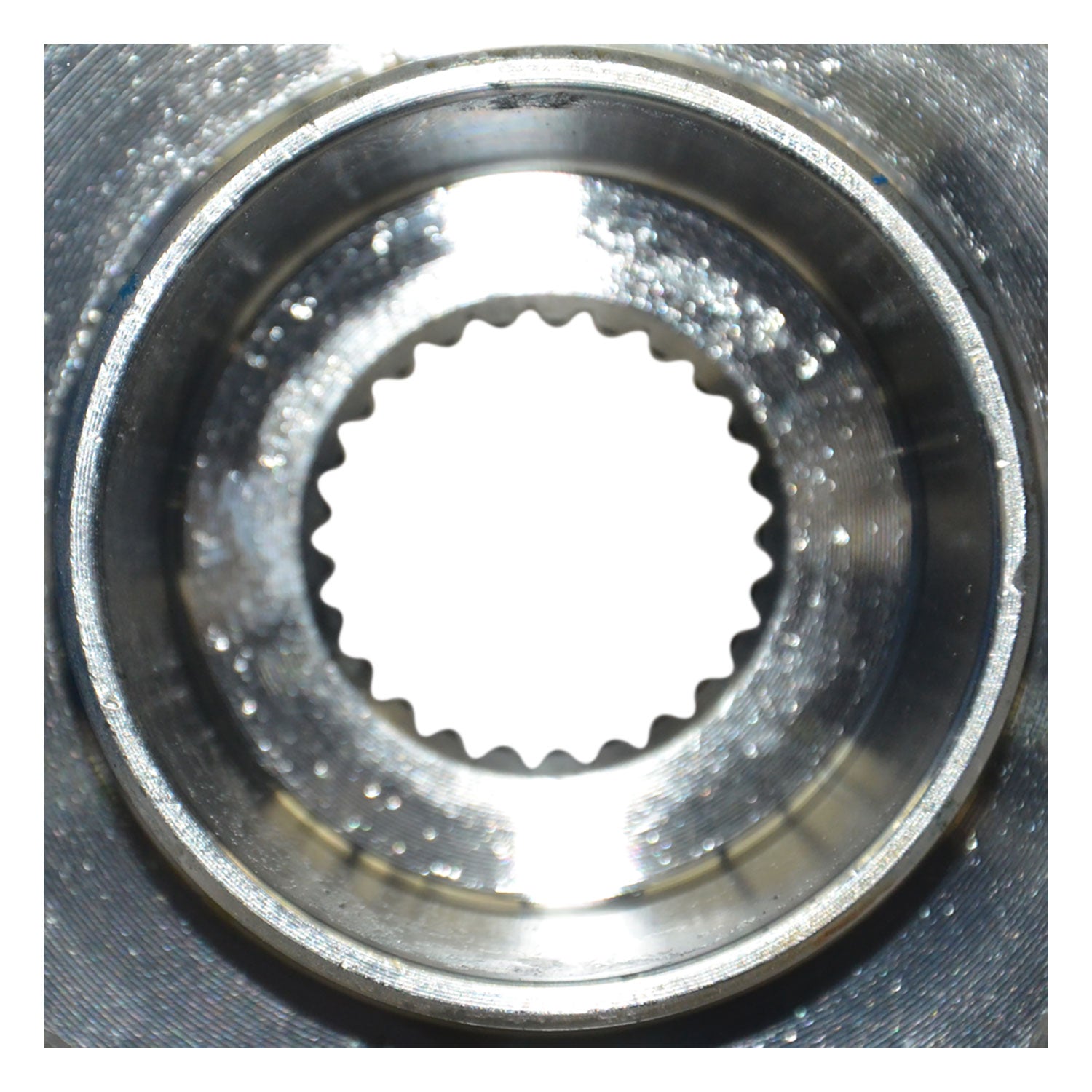 129003WH_4.jpg