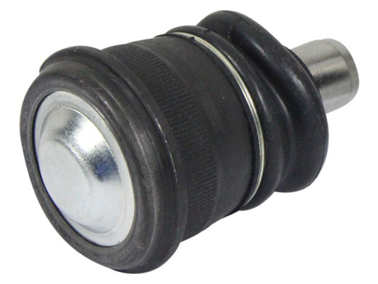 NS80132_1.jpg