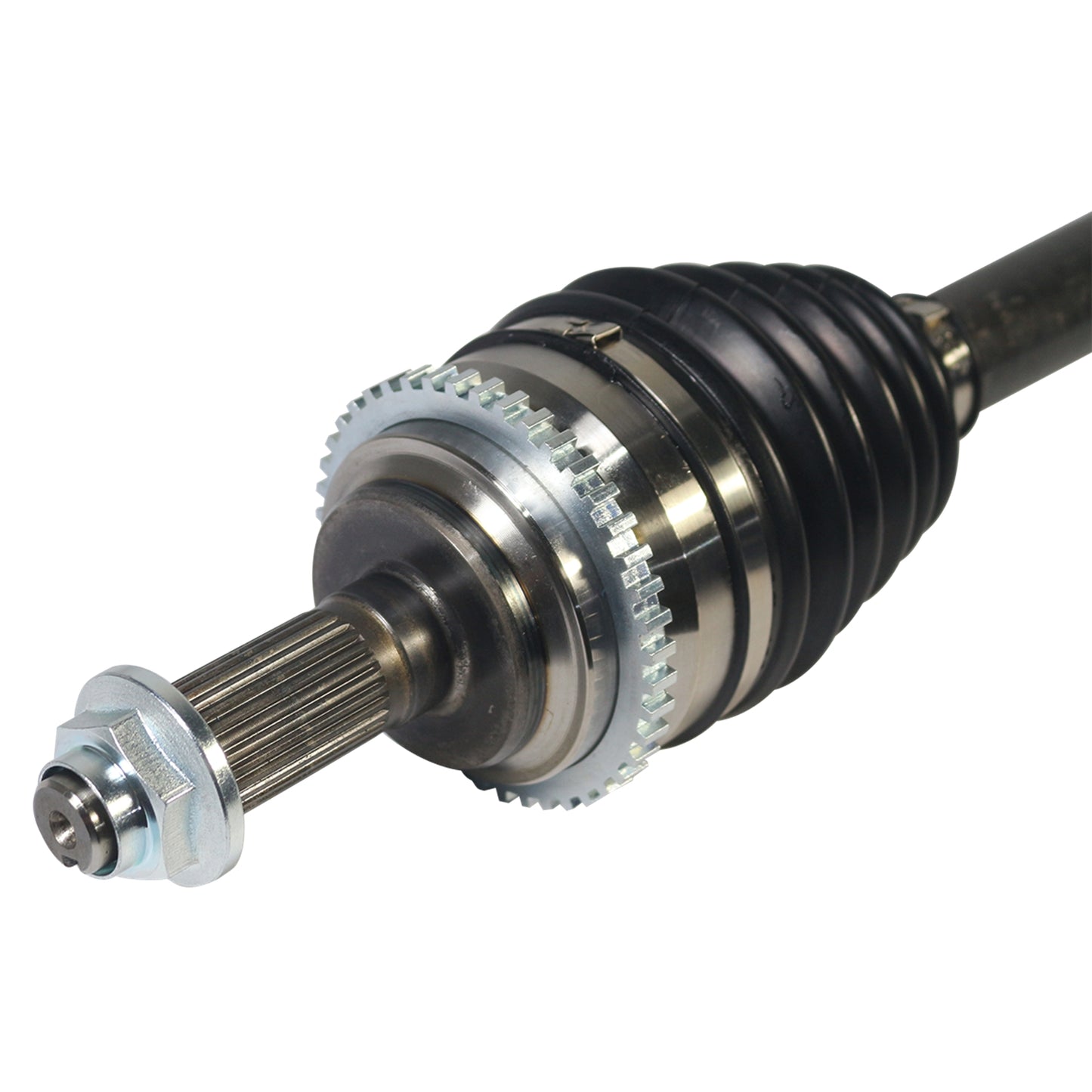 NCV11229_3.jpg