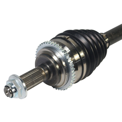 NCV11229_3.jpg