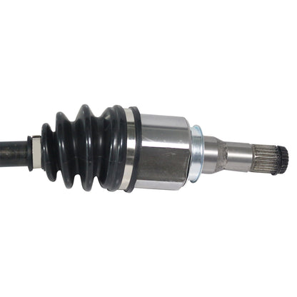 NCV11146_2.jpg
