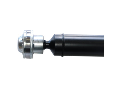 PS900515_3.jpg