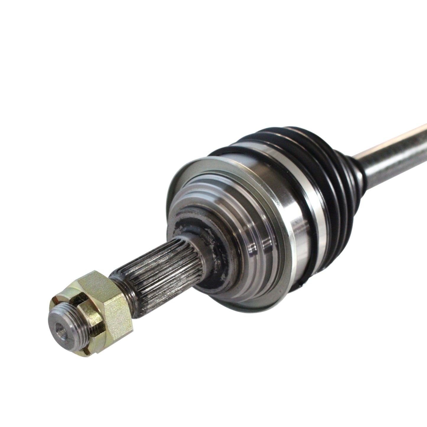 NCV12081_3.jpg