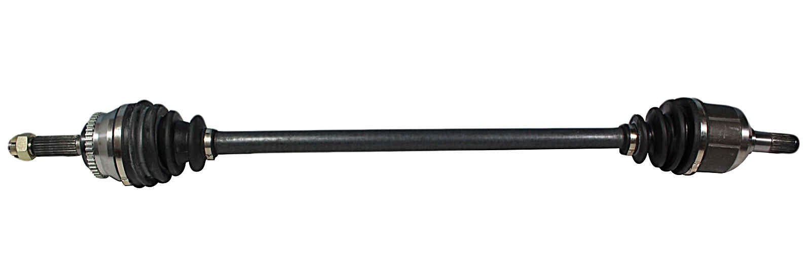 NCV51565.jpg