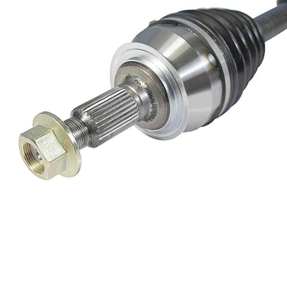 NCV10046-3.jpg