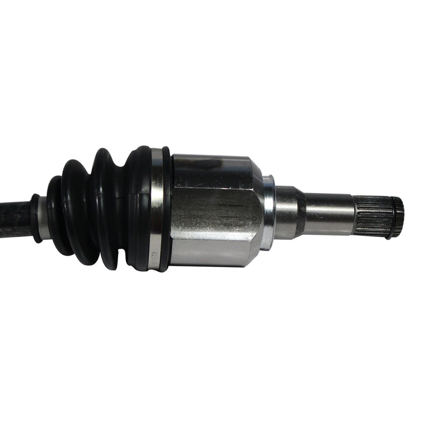 NCV11163_2.jpg