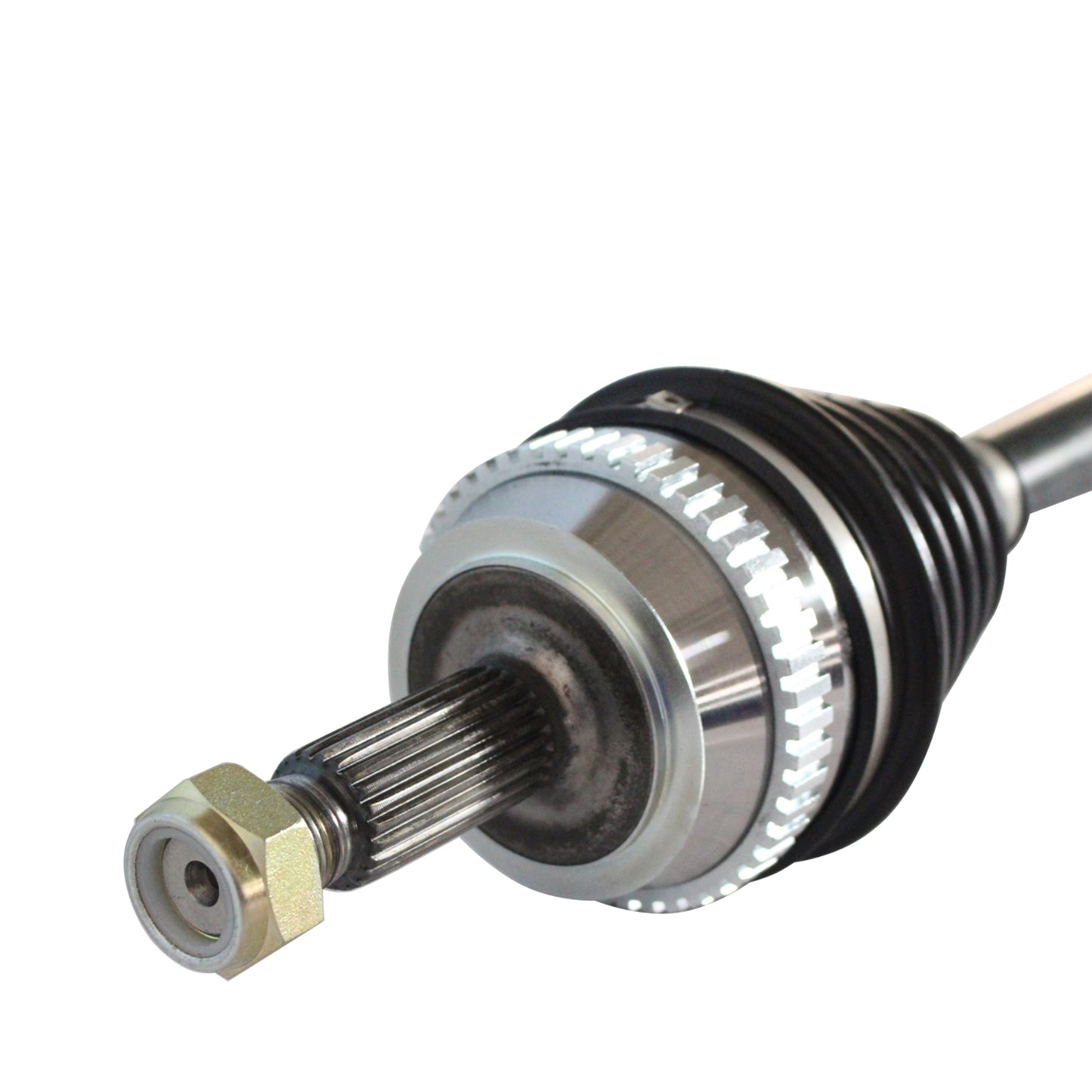 NCV12516_3.jpg