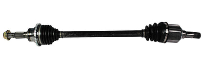 NCV11036.jpg