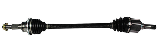 NCV11036.jpg