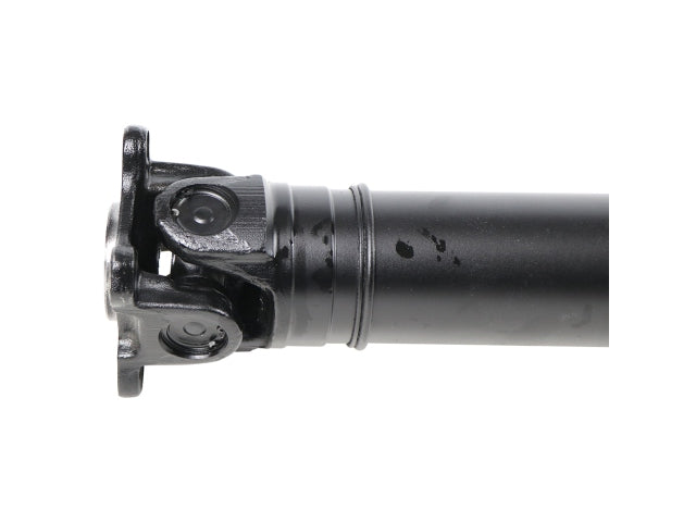 PS900117_3.jpg