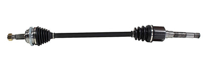 NCV12562.jpg