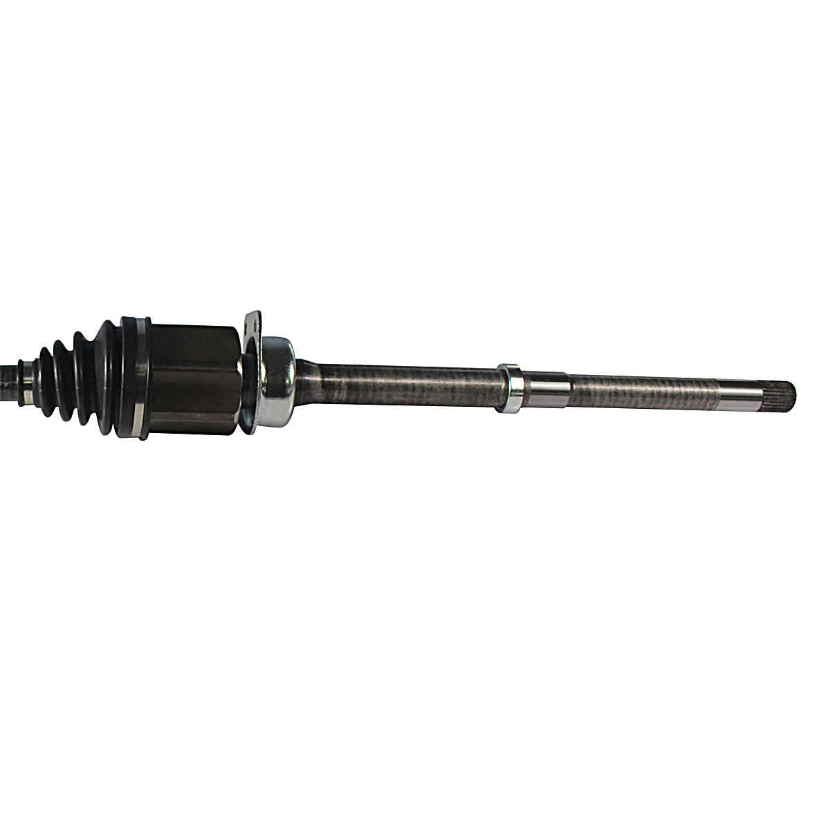 NCV11051-2.jpg
