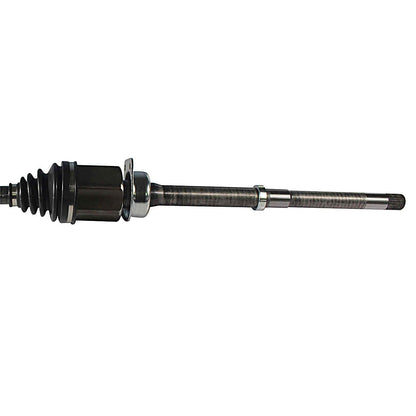 NCV11051-2.jpg