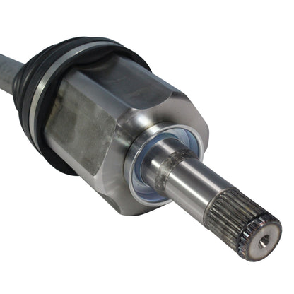 NCV11204_4.jpg