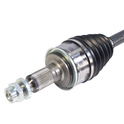 NCV17008_3.jpg