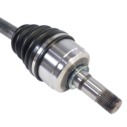 NCV11257_4.jpg