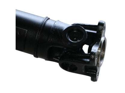 PS900461_1.jpg