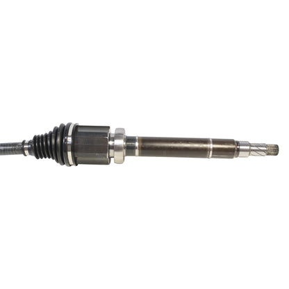 NCV11250_2.jpg