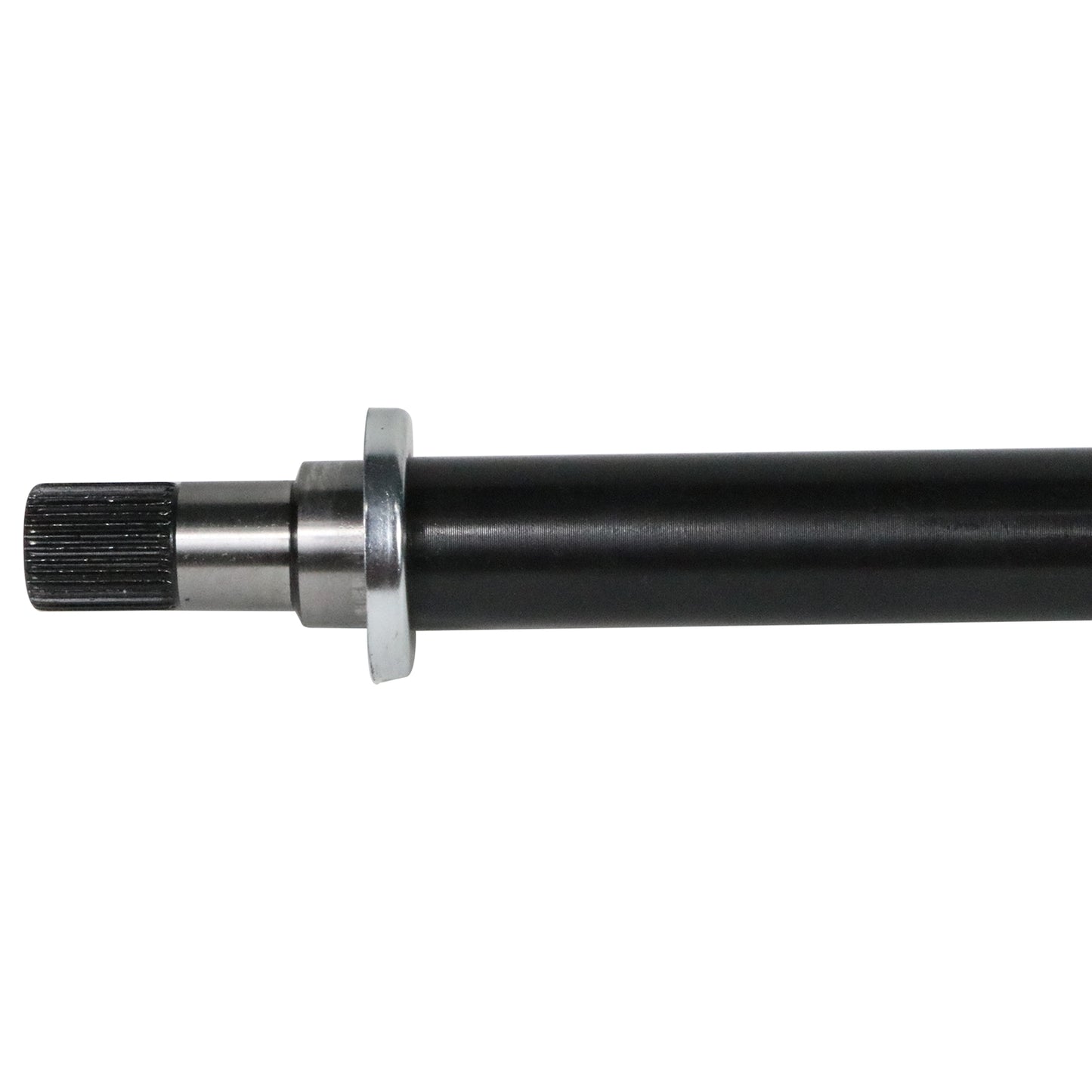 NEX10002_1.jpg