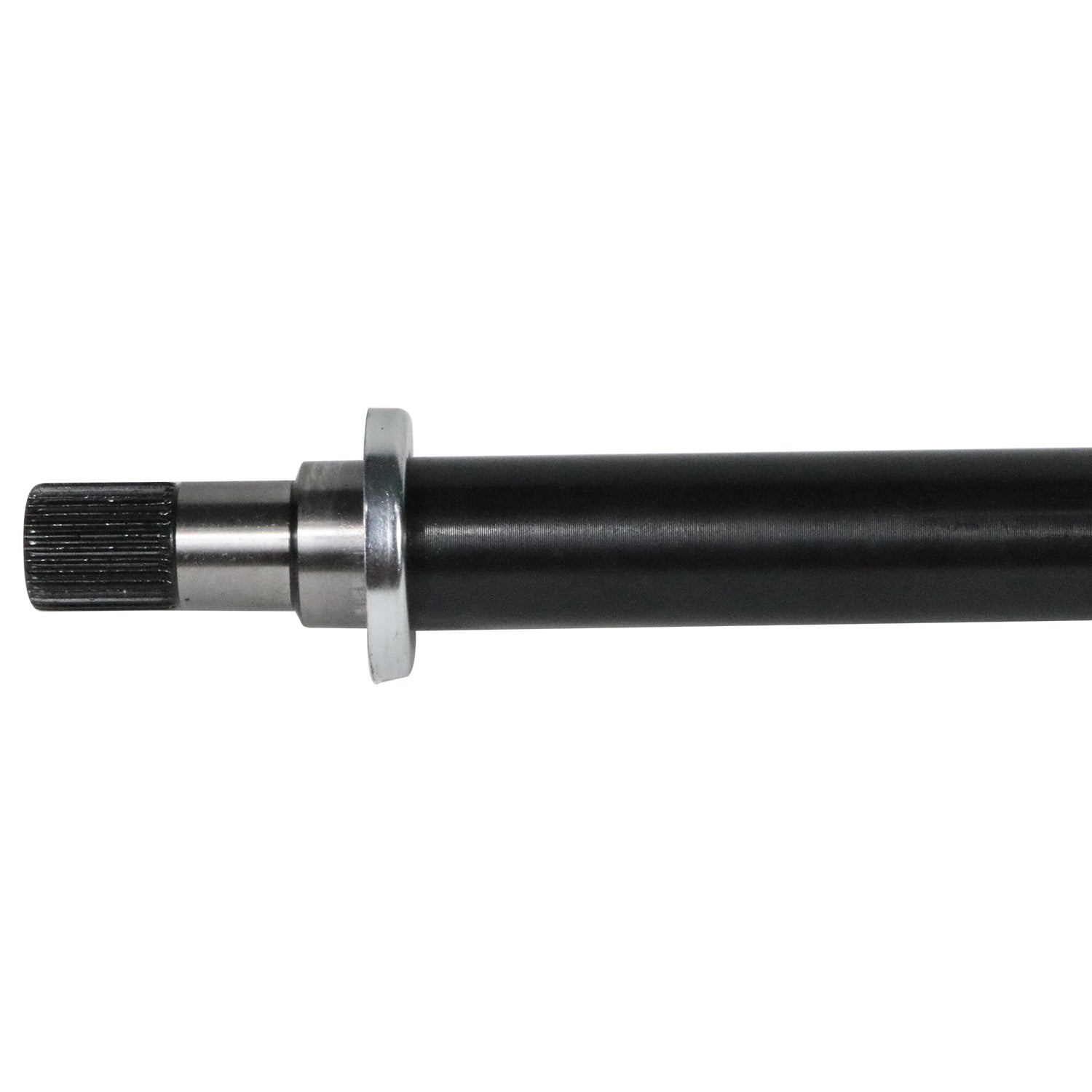 NEX10002_1.jpg