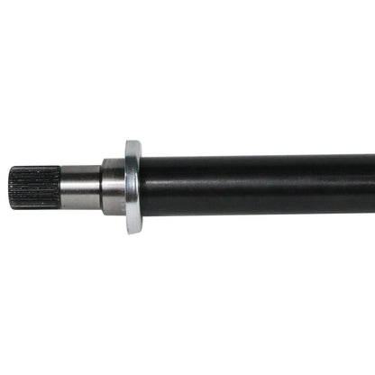 NEX10002_1.jpg